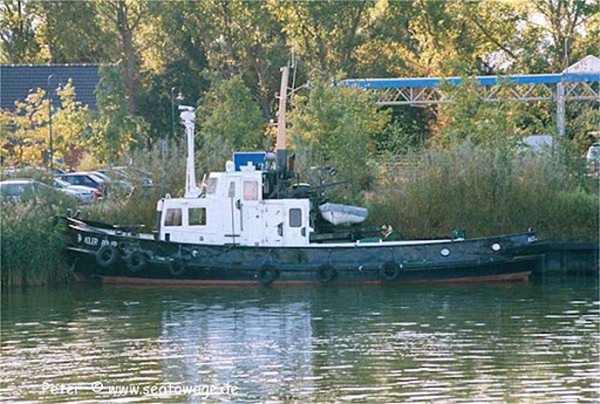 Schiff_gross_11.jpg